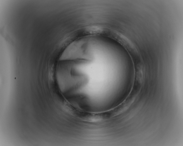 X0000113760604200910071133