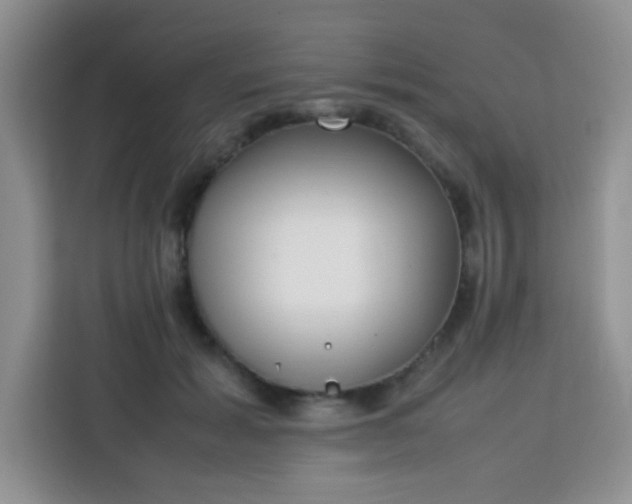 X0000113760605200910071133
