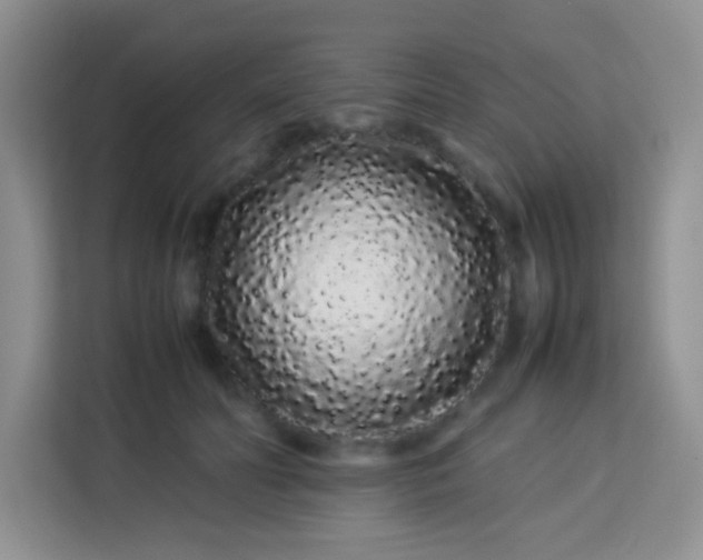 X0000113760606200910071133