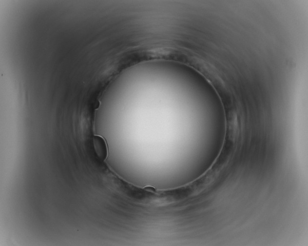 X0000113760608200910071133