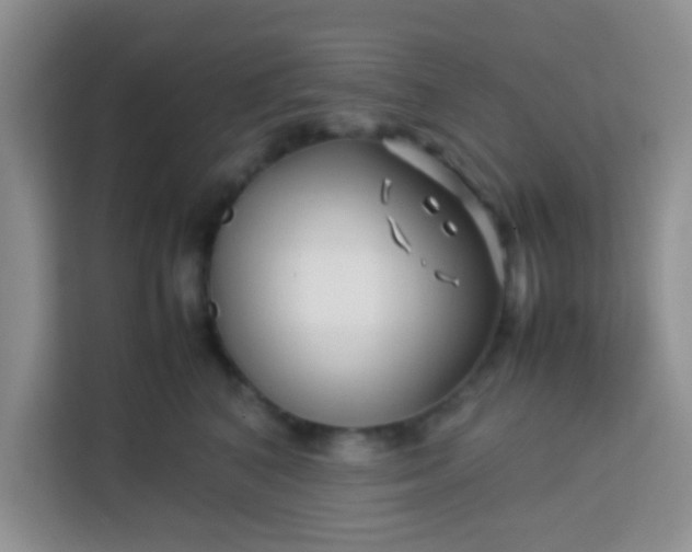 X0000113760616200910071133