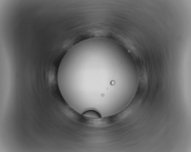 X0000113760622200910071133