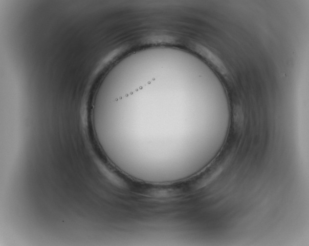 X0000113760629200910071132