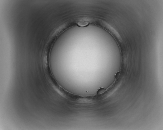 X0000113760633200910071132