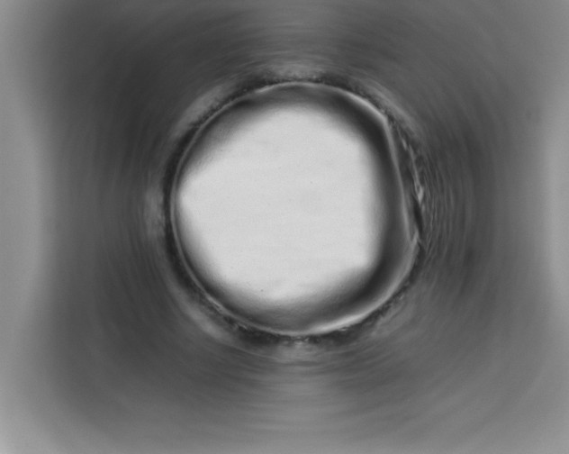 X0000113760634200910071132