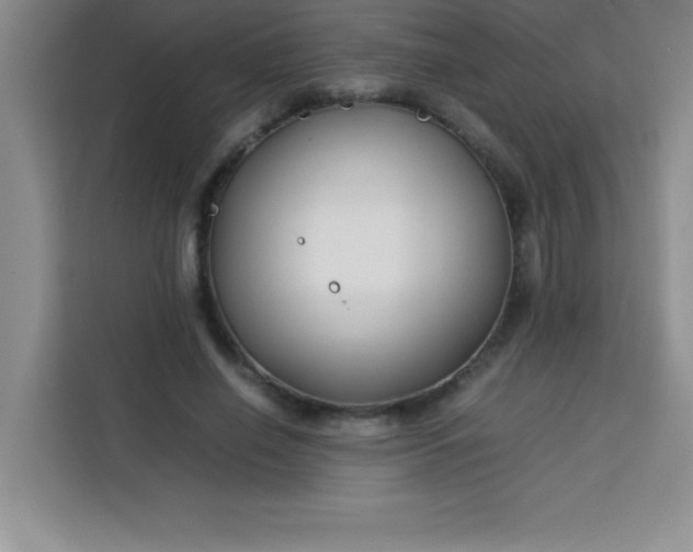 X0000113760638200910071132
