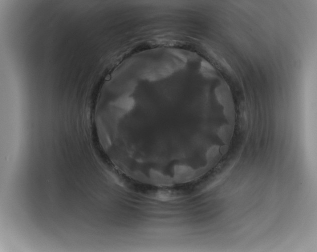 X0000113760641200910071132