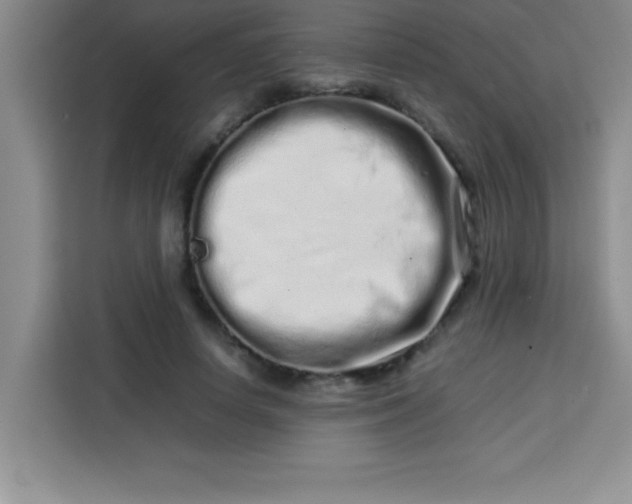 X0000113760642200910071132
