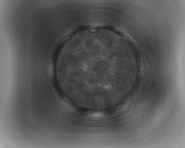 X0000113760643200910071132