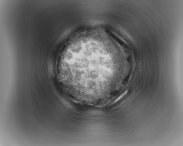 X0000113760644200910071132