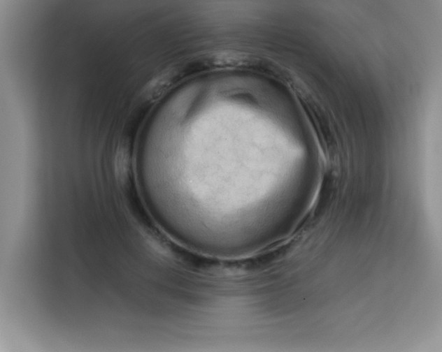 X0000113760648200910071132