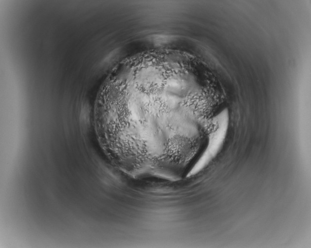 X0000113760650200910071132