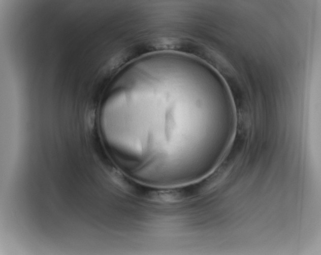X0000113760652200910071132