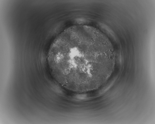 X0000113760653200910071132