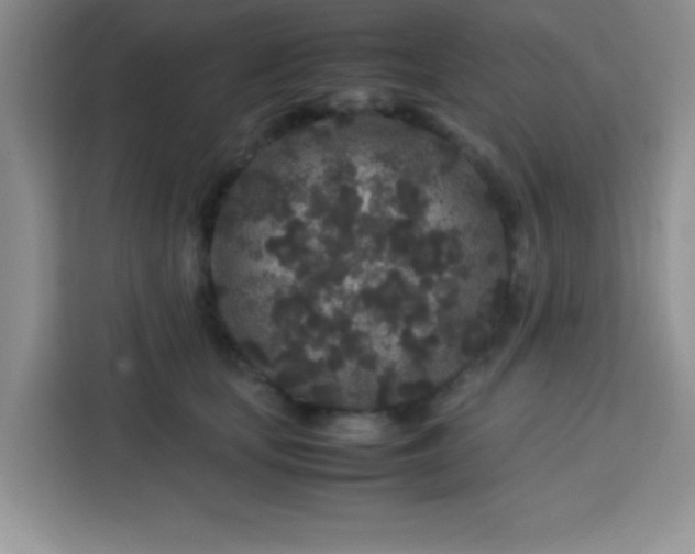 X0000113760659200910071132