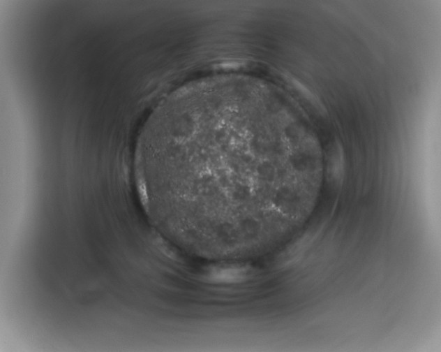 X0000113760661200910071132