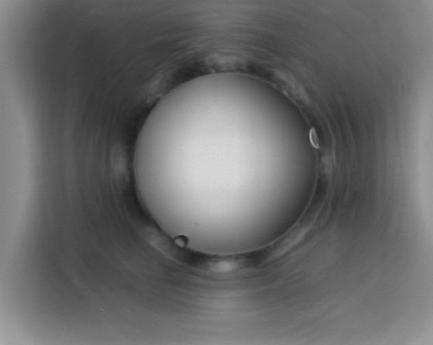 X0000113760662200910071132