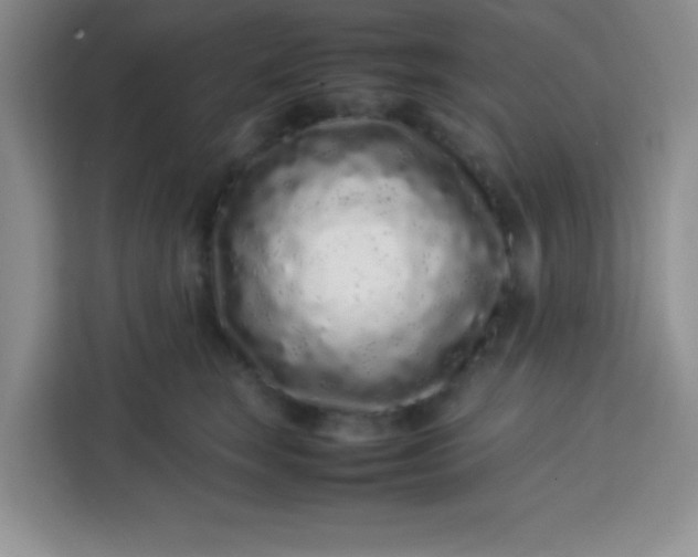 X0000113760663200910071132