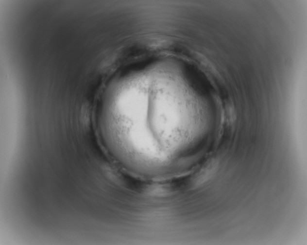X0000113760664200910071132