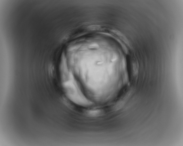 X0000113760669200910071133