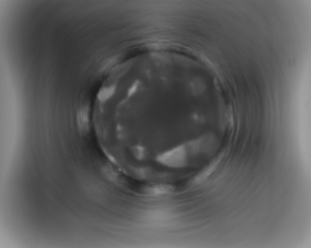 X0000113760670200910071133