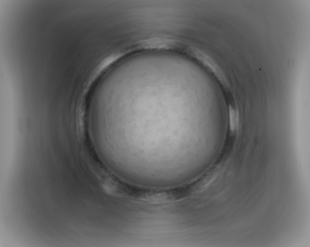 X0000113760675200910071132