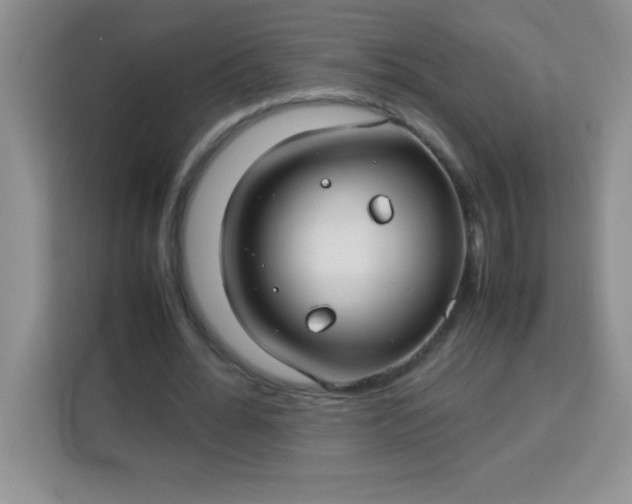 X0000113760676200910071132