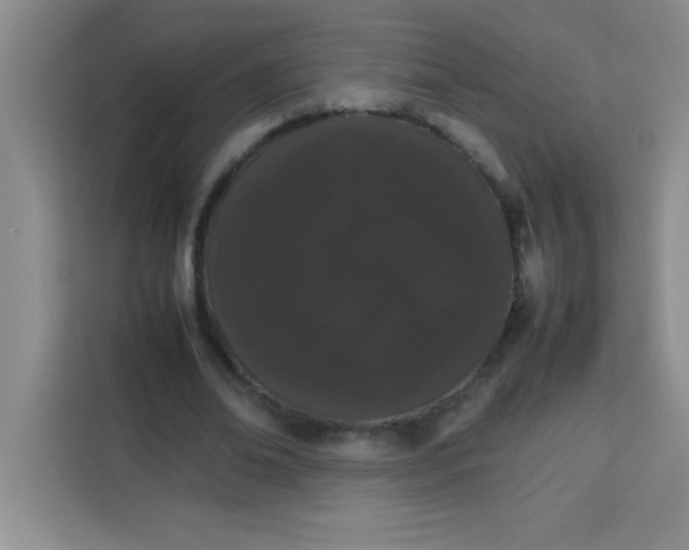 X0000113760678200910071132