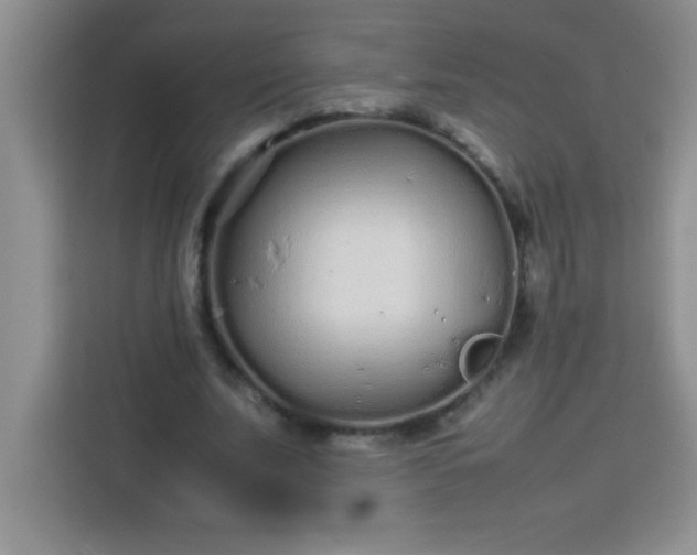 X0000113760679200910071132