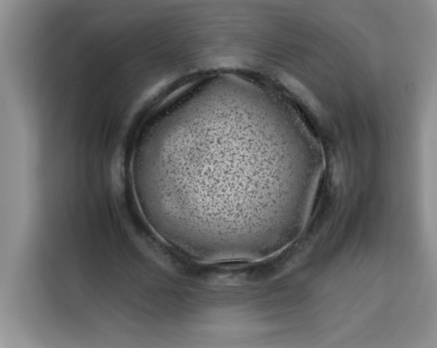 X0000113760680200910071132