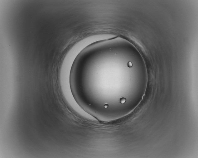 X0000113760681200910071132