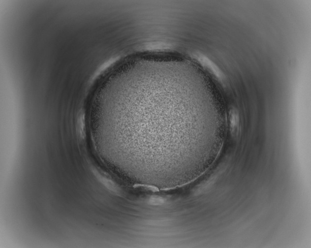 X0000113760684200910071132