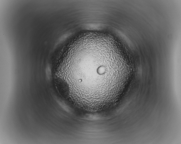 X0000113760688200910071132