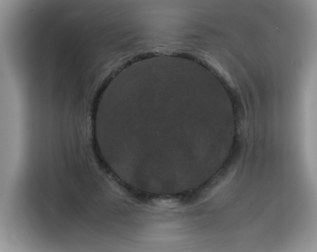 X0000113760689200910071132