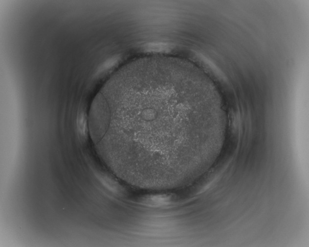 X0000113760692200910071132