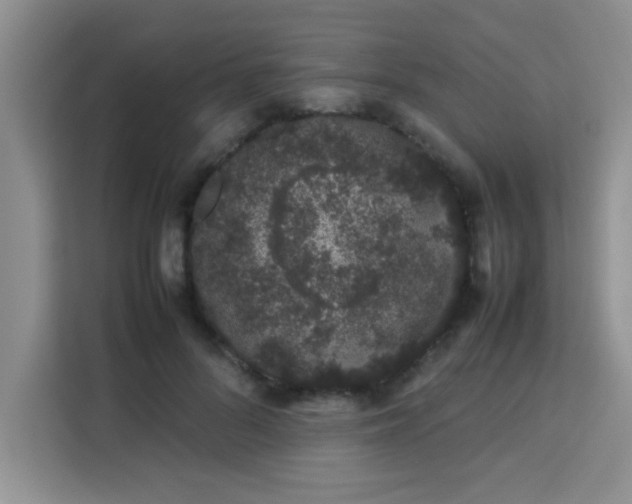 X0000113760696200910071132
