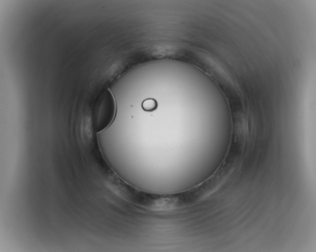 X0000113760700200910071132