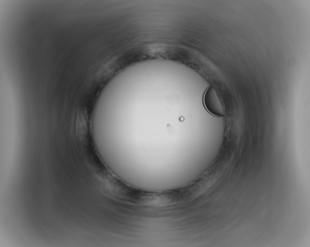 X0000113760702200910071132