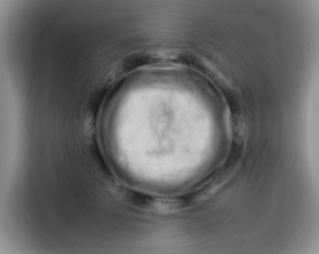 X0000113760707200910071132