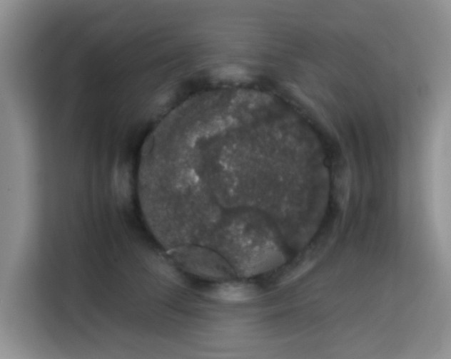 X0000113760708200910071132