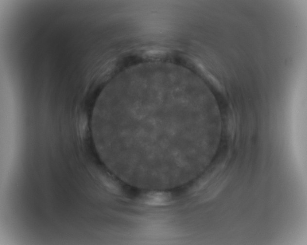 X0000113760711200910071131