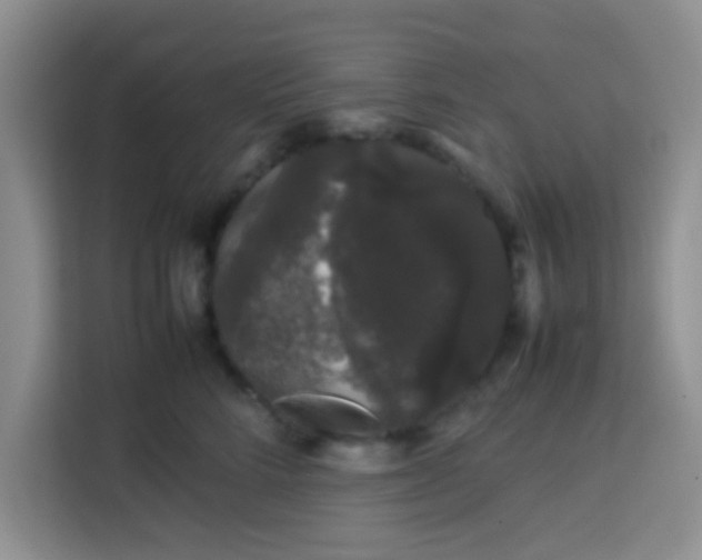 X0000113760712200910071131