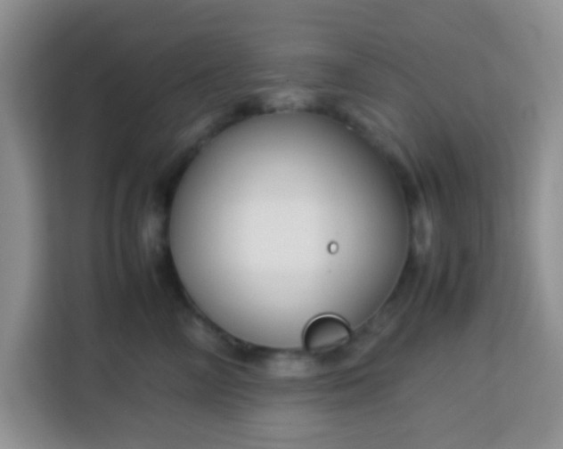 X0000113760714200910071131
