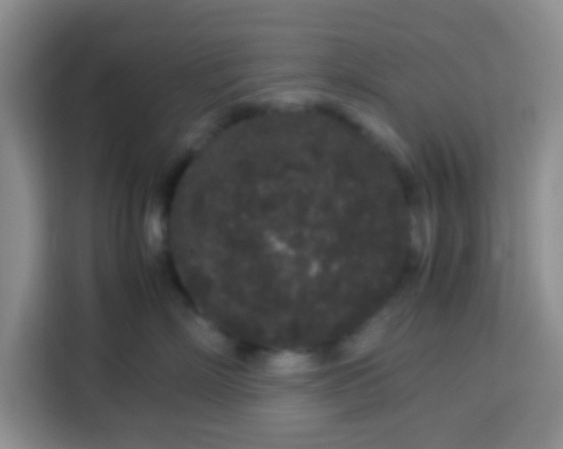 X0000113760718200910071131