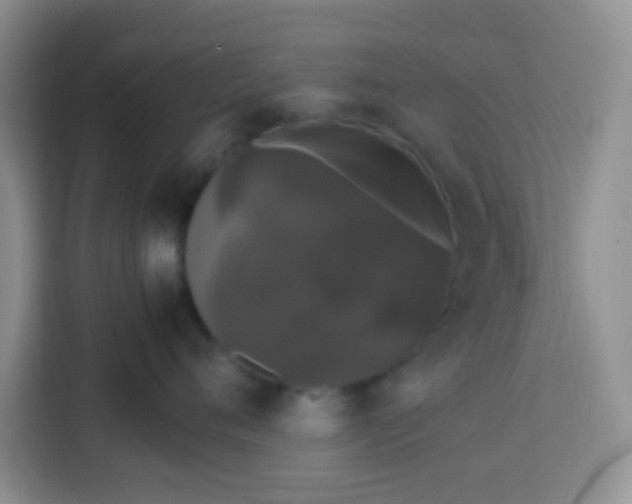 X0000113760720200910071131