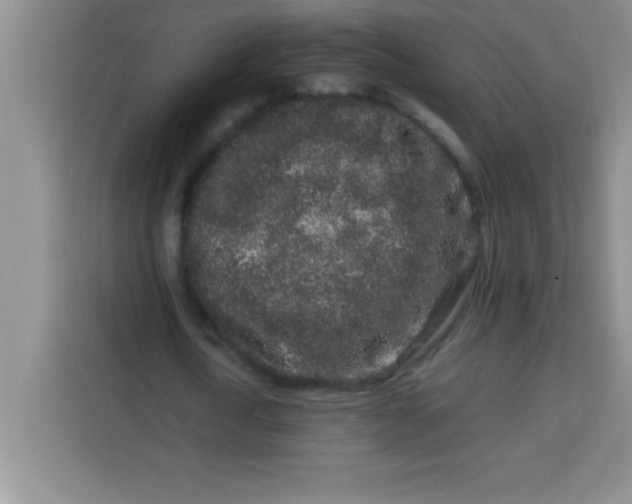 X0000113760722200910071131
