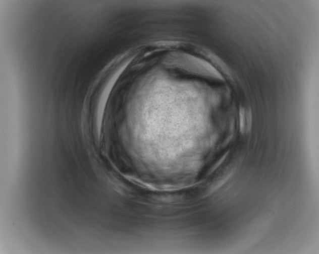 X0000113760723200910071131
