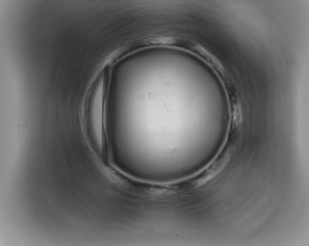 X0000113760725200910071131