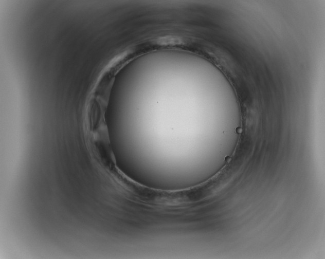 X0000113760727200910071131