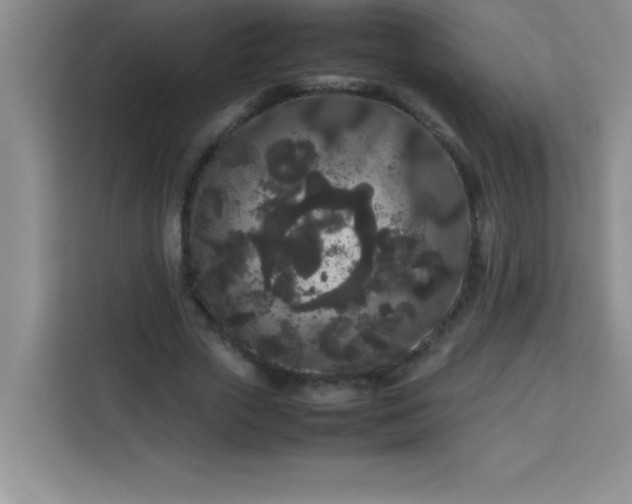 X0000113760729200910071131